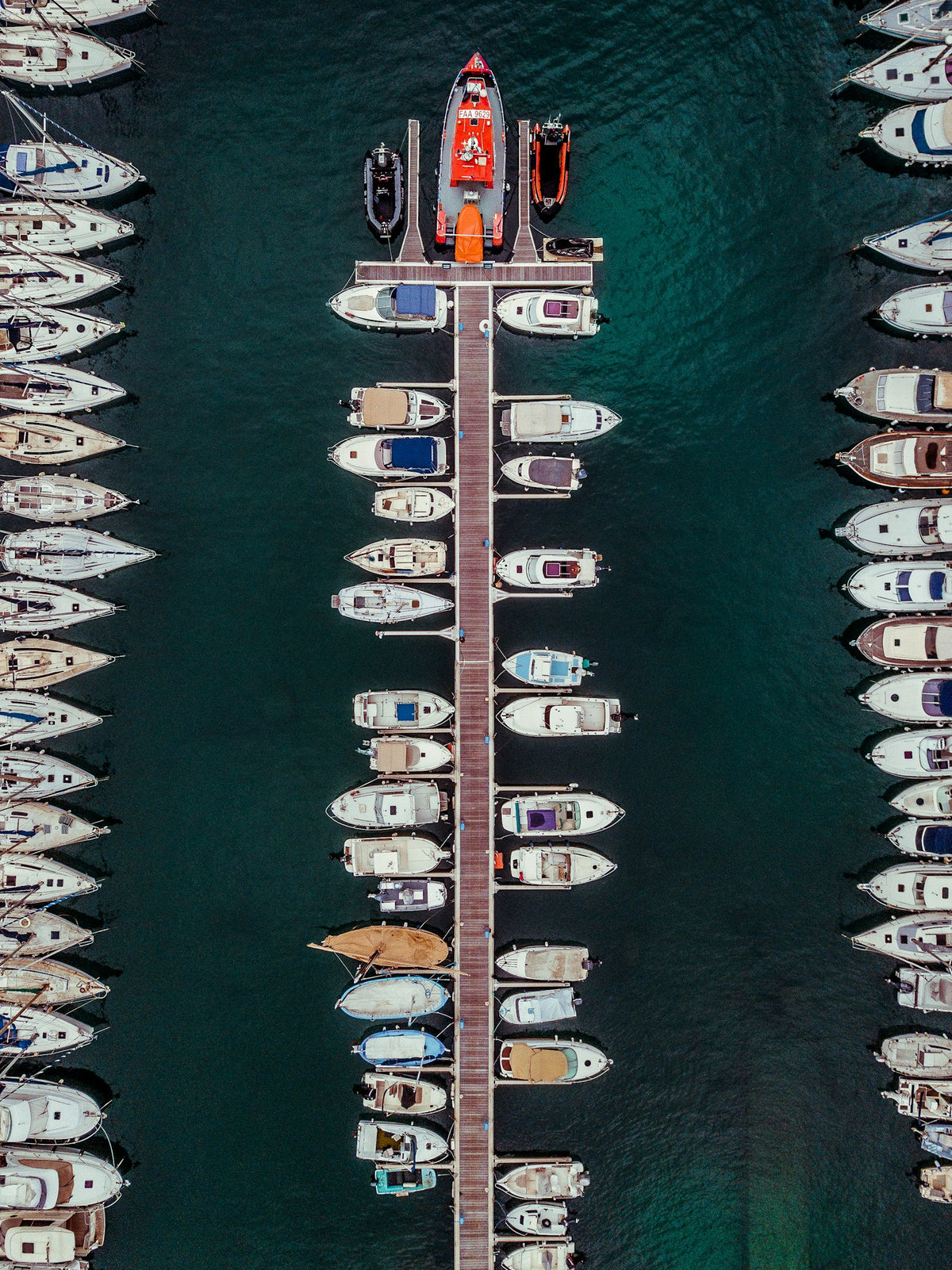 Boats of different types moored together